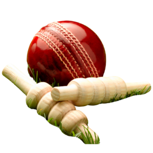 Cricket Ball